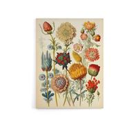 Artery8 Ernst Haeckel Inspired Vintage Floral Canvas Wall Art Print | Size: W18" x H24" Artery8 Multicolor W18" x H24"
