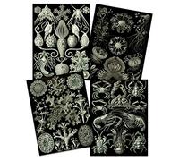 Artery8 Ernst Haeckel Kunstformen Der Natur Plates Nature Vintage Biology Art Print Poster Home Decor Premium Pack of 4