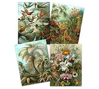 Artery8 Ernst Haeckel Kunstformen Der Natur Plates Nature Vintage Birds Flora Fauna Biology Art Print Poster Home Decor Premium Pack of 4