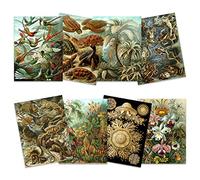 Artery8 Ernst Haeckel Kunstformen Der Natur Plates Nature Vintage Various Land Sea Biology Art Print Poster Home Decor Premium Pack of 8