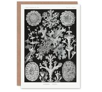 Artery8 Ernst Haeckel Personalised Art Card Lichen Species Vintage Illustration