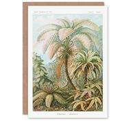 Artery8 Ernst Haeckel Personalised Art Card Tropical Nature Filicinae Fern Plants