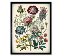 Artery8 Ernst Haeckel Style Vintage Botanical Plant Study Modern Watercolour Painting Illustration Art Print Framed Poster Wall Decor 12x16 inch