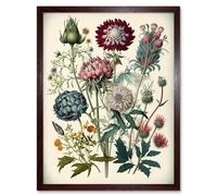 Artery8 Ernst Haeckel Style Vintage Botanical Plant Study Modern Watercolour Painting Illustration Art Print Framed Poster Wall Decor 12x16 inch