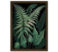 Artery8 Ernst Haeckel Style Fern Fronds Botanical Detailed Artwork Framed A3 Wall Art Print