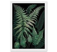 Ernst Haeckel Style Fern Fronds Botanical Detailed Artwork Framed Wall Art Print A4 Artery8 White One Size