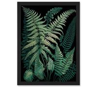 Artery8 Ernst Haeckel Style Fern Fronds Botanical Detailed Artwork Framed Wall Art Print A4 in Black Artery8 Black