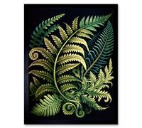 Artery8 Ernst Haeckel Style Fern Fronds Leaf 12X16" Framed Wall Art Print