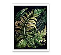 Artery8 Ernst Haeckel Style Fern Fronds Leaf Illustration Artwork Framed Wall Art Print 18X24 Inch