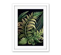 Artery8 Ernst Haeckel Style Fern Fronds Leaf Illustration Artwork Framed Wall Art Print 18X24 Inch