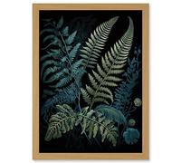 Artery8 Ernst Haeckel Style Leaf Illustration Fern Fronds Artwork Framed A3 Wall Art Print