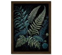 Artery8 Ernst Haeckel Style Leaf Illustration Fern Fronds Artwork Framed A3 Wall Art Print