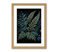 Artery8 Ernst Haeckel Style Leaf Illustration Fern Fronds Artwork Framed Wall Art Print 18X24 Inch