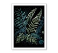Artery8 Ernst Haeckel Style Leaf Illustration Fern Fronds Artwork Framed Wall Art Print 18X24 Inch
