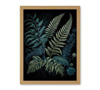 Artery8 Ernst Haeckel Style Leaf Illustration Fern Fronds Artwork Framed Wall Art Print 18X24 Inch
