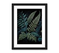 Artery8 Ernst Haeckel Style Leaf Illustration Fern Fronds Artwork Framed Wall Art Print 18X24 Inch