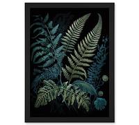 Artery8 Ernst Haeckel Style Leaf Illustration Fern Fronds Artwork Framed Wall Art Print A4