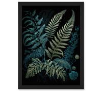 Artery8 Ernst Haeckel Style Leaf Illustration Fern Fronds Artwork Framed Wall Art Print A4 in Black Artery8 Black