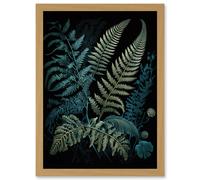 Ernst Haeckel Style Leaf Illustration Fern Fronds Artwork Framed Wall Art Print A4 Artery8 Light Oak One Size