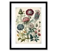 Artery8 Ernst Haeckel Style Vintage Botanical Plant Study Framed Wall Art Print