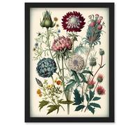 Artery8 Ernst Haeckel Style Vintage Botanical Plant Study Modern Watercolour Painting Illustration Wall Art Print - A4 Size