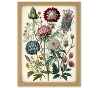 Artery8 Ernst Haeckel Style Vintage Botanical Plant Study Modern Watercolour Painting Illustration Artwork Framed A3 Wall Art Print