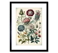 Artery8 Ernst Haeckel Style Vintage Botanical Plant Study Modern Watercolour Painting Illustration Artwork Framed Wall Art Print 9X7 Inch