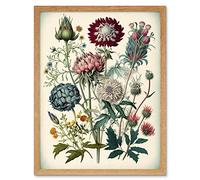 Artery8 Ernst Haeckel Style Vintage Botanical Plant Study Modern Watercolour Painting Illustration Art Print Framed Poster Wall Decor 12x16 inch
