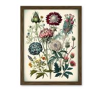 Artery8 Ernst Haeckel Style Vintage Botanical Plant Study Modern Watercolour Painting Illustration Artwork Framed Wall Art Print 18X24 Inch