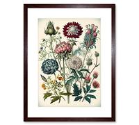 Artery8 Ernst Haeckel Style Vintage Botanical Plant Study Modern Watercolour Painting Illustration Artwork Framed Wall Art Print 12X16 Inch