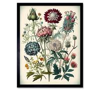 Artery8 Ernst Haeckel Style Vintage Botanical Plant Study Modern Watercolour Painting Illustration Art Print Framed Poster Wall Decor 12x16 inch