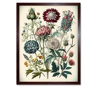 Artery8 Ernst Haeckel Style Vintage Botanical Plant Study Modern Watercolour Painting Illustration Art Print Framed Poster Wall Decor 12x16 inch