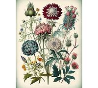 Artery8 Ernst Haeckel Style Vintage Botanical Plant Study Modern Watercolour Painting Illustration Extra Large XL Wall Art Poster Print