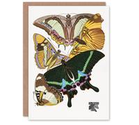 Artery8 Eugene Seguy Art Card Bright Vintage Butterflies Papillons