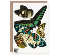 Artery8 Eugene Seguy Art Card Vintage Butterflies Green Blue