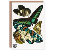 Artery8 Eugene Seguy Art Card Vintage Butterflies Green Blue