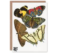 Artery8 Eugene Seguy Art Card Vintage Butterflies Papillons