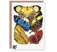 Artery8 Eugene Seguy Art Card Vintage Butterflies Yellow Red Blue