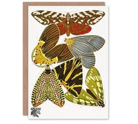 Artery8 Eugene Seguy Art Card Vintage Butterfly Illustration