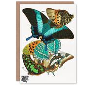 Artery8 Eugene Seguy Art Card Vintage Colourful Butterflies