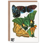 Artery8 Eugene Seguy Art Card Vintage Vibrant Butterflies Papillons