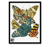 Artery8 Eugene Seguy Framed Wall Art Print Vintage Butterflies Blue Yellow | Size: A4 Artery8 Multicolor A4