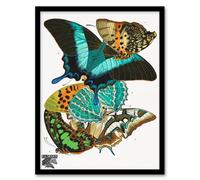 Artery8 Eugene Seguy Framed Wall Art Print Vintage Colourful Butterflies | Size: A3 Artery8 Multicolor A3