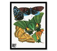 Artery8 Eugene Seguy Framed Wall Art Vintage Vibrant Butterflies Papillons | Size: A3 Artery8 Multicolor A3