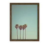 Artery8 Ev Palm Trees Summer Santa Cruz California USA Photo Artwork Framed Wall Art Print 18X24 Inch