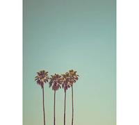 Artery8 Ev Palm Trees Summer Santa Cruz California USA Photo Large Wall Art Poster Print Thick Paper 18X24 Inch