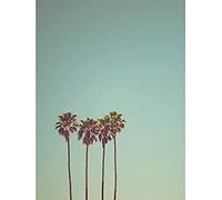 Artery8 Ev Palm Trees Summer Santa Cruz California USA Photo Unframed Wall Art Print Poster Home Decor Premium