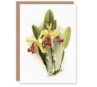 Artery8 F Sander Cattleya Dowiana Var Chrysotoxum Orchid Personalised Art Greeting Card