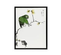 Artery8 Fairy Pitta and Japanese Allspice Framed Canvas Wall Art Print Vintage : Artwork by Kashu 18x24 Vivid exotic subject perfect for study or living room appealing to wildlife and colour lovers