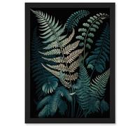 Artery8 Fern Frond Detailed Botanical Species Illustration Artwork Framed Wall Art Print A4